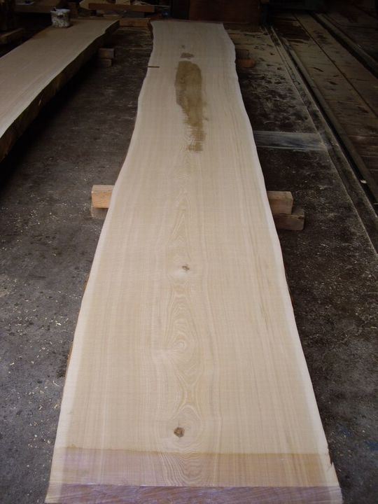 無垢カウンター材 栓 セン