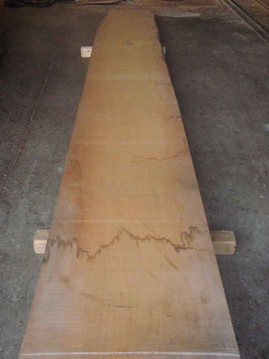 無垢カウンター材 銀杏・イチョウ